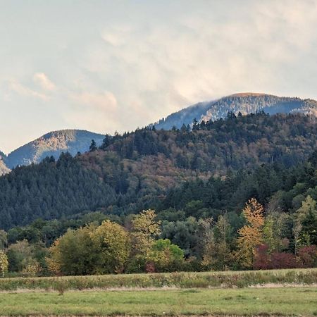 Ferienwohnung Belchenblick Staufen Exterior foto