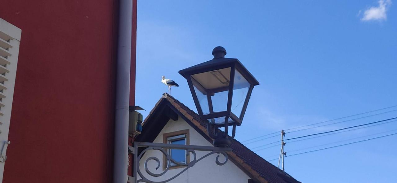 Ferienwohnung Belchenblick Staufen Exterior foto