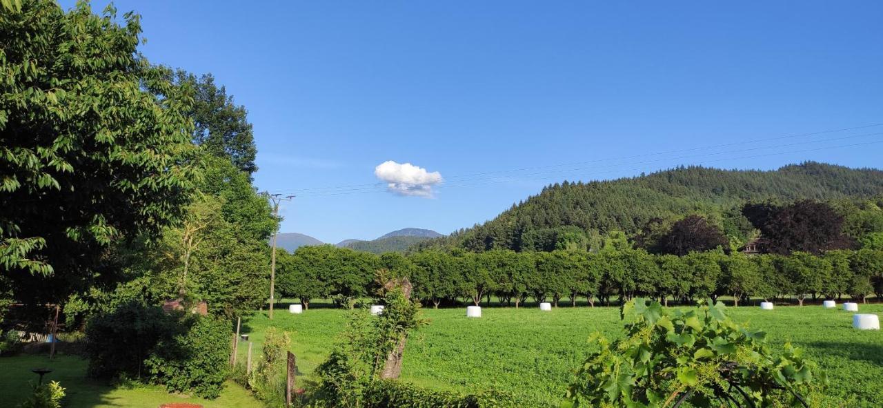 Ferienwohnung Belchenblick Staufen Exterior foto