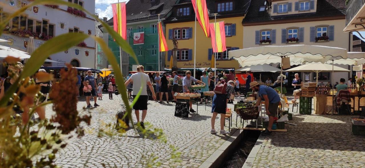 Ferienwohnung Belchenblick Staufen Exterior foto