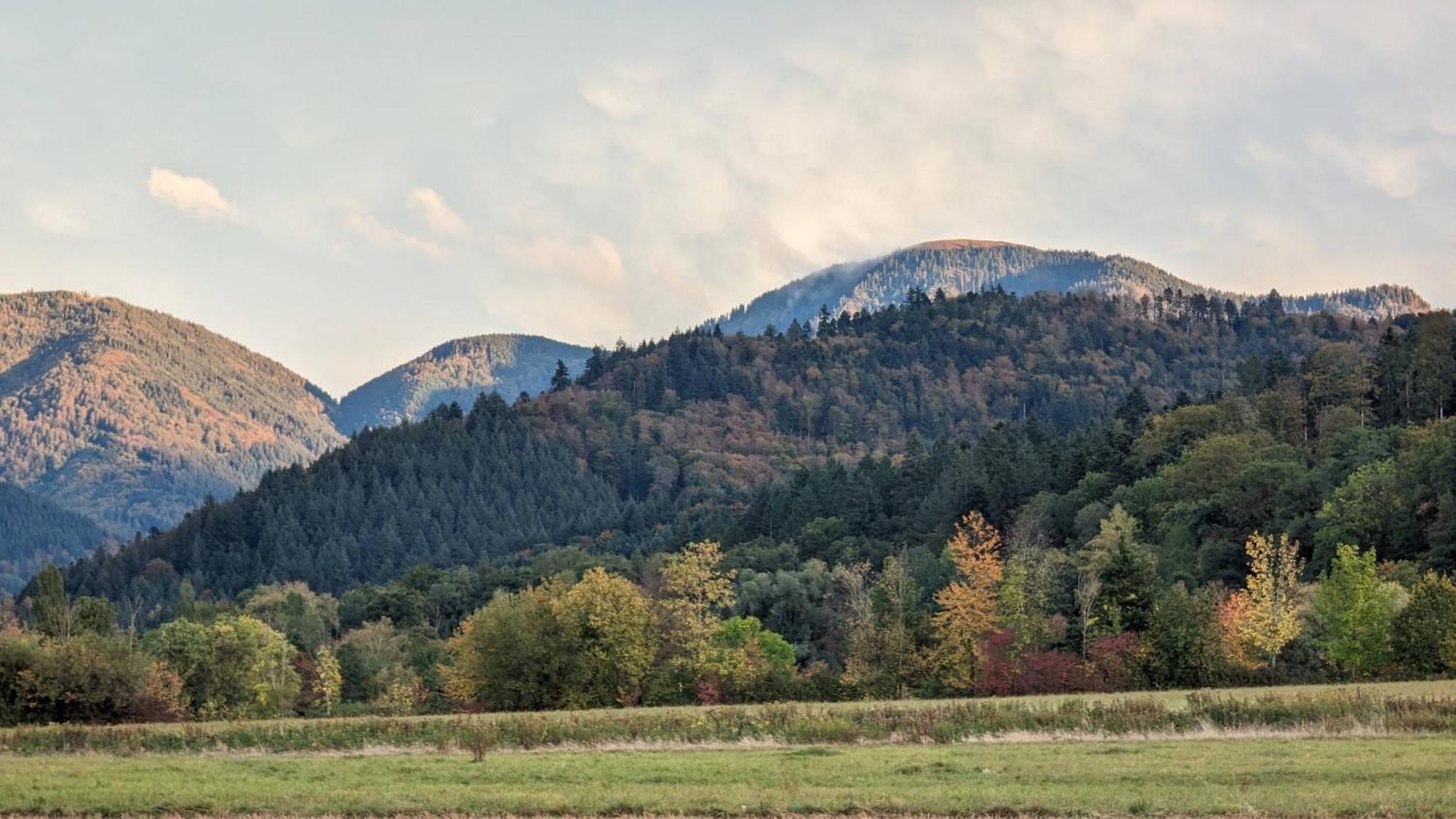Ferienwohnung Belchenblick Staufen Exterior foto